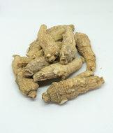 Graded Short Jumbo Wisconsin Grown American Ginseng By The Pound